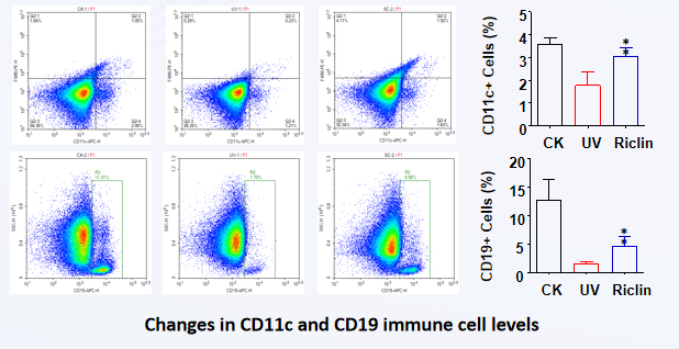 测试英6 测试英6