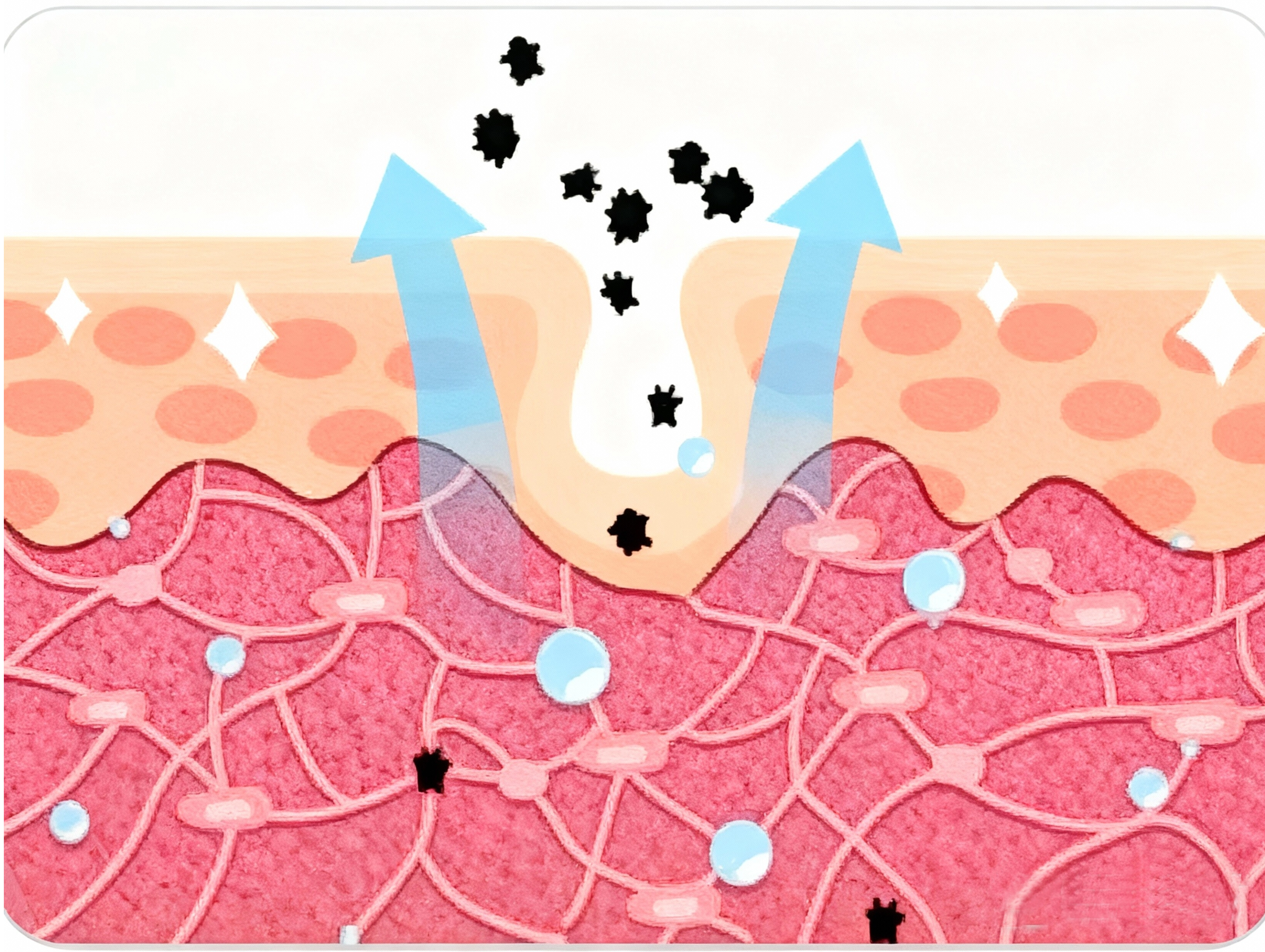 HONY D001 Antioxidant Edition: Scientific Anti-Aging, Rebuild Skin's Defense